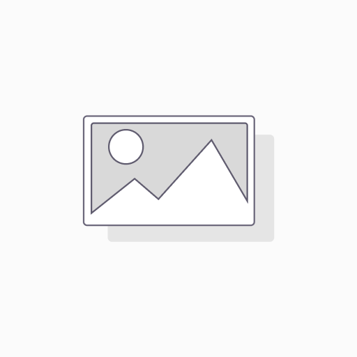 AMT Gastronorm 1/2 2,0 cm profondo